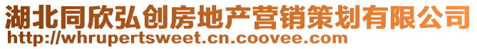 湖北同欣弘創(chuàng)房地產(chǎn)營(yíng)銷策劃有限公司