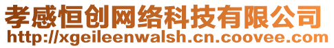 孝感恒創(chuàng)網(wǎng)絡(luò)科技有限公司