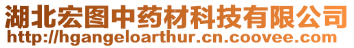 湖北宏圖中藥材科技有限公司