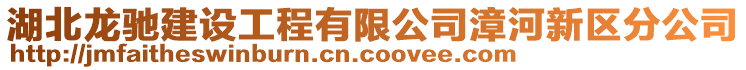 湖北龍馳建設工程有限公司漳河新區分公司