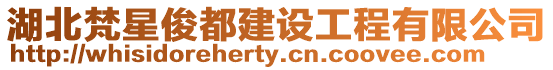 湖北梵星俊都建設工程有限公司