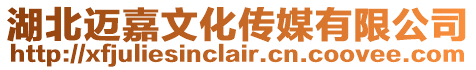 湖北邁嘉文化傳媒有限公司