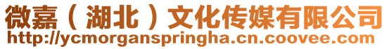 微嘉(湖北)文化傳媒有限公司