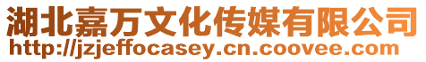 湖北嘉萬文化傳媒有限公司