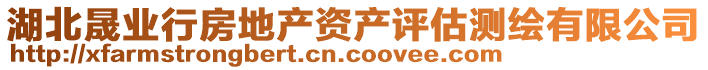 湖北晟業(yè)行房地產(chǎn)資產(chǎn)評估測繪有限公司