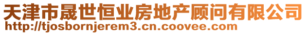 天津市晟世恒業(yè)房地產(chǎn)顧問(wèn)有限公司