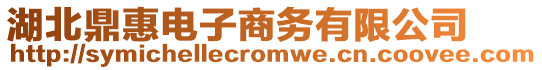 湖北鼎惠电子商务有限公司