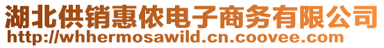 湖北供銷惠儂電子商務(wù)有限公司