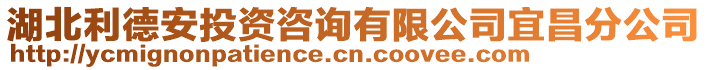 湖北利德安投資咨詢有限公司宜昌分公司