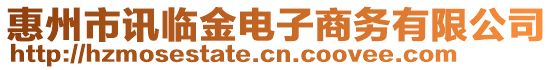 惠州市訊臨金電子商務(wù)有限公司