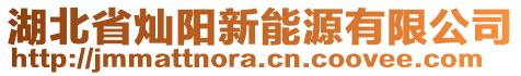 湖北省燦陽新能源有限公司