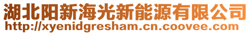 湖北陽(yáng)新海光新能源有限公司