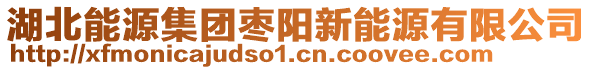 湖北能源集團(tuán)棗陽(yáng)新能源有限公司