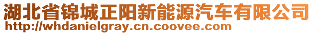 湖北省錦城正陽(yáng)新能源汽車有限公司