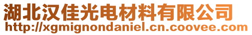 湖北汉佳光电材料有限公司