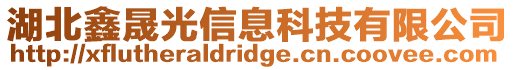 湖北鑫晟光信息科技有限公司