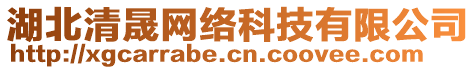 湖北清晟網絡科技有限公司