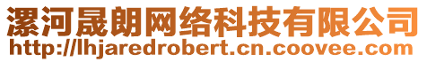 漯河晟朗網(wǎng)絡(luò)科技有限公司