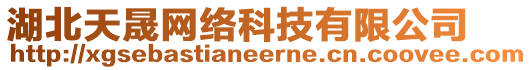 湖北天晟網(wǎng)絡(luò)科技有限公司