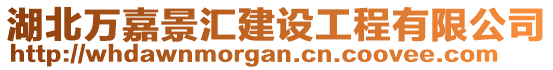 湖北萬嘉景匯建設工程有限公司