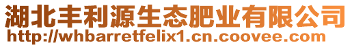 湖北豐利源生態肥業有限公司