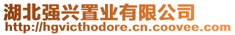 湖北強(qiáng)興置業(yè)有限公司