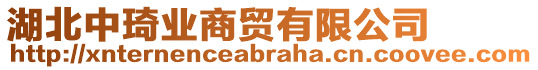 湖北中琦業(yè)商貿(mào)有限公司