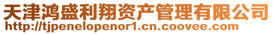 天津鴻盛利翔資產管理有限公司