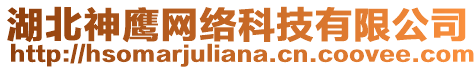 湖北神鷹網絡科技有限公司