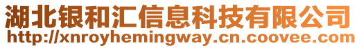 湖北銀和匯信息科技有限公司