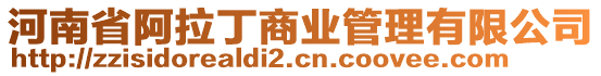 河南省阿拉丁商業(yè)管理有限公司