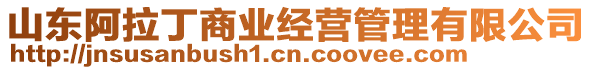 山東阿拉丁商業(yè)經(jīng)營(yíng)管理有限公司