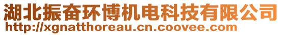 湖北振奮環(huán)博機(jī)電科技有限公司