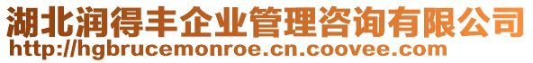 湖北潤(rùn)得豐企業(yè)管理咨詢(xún)有限公司