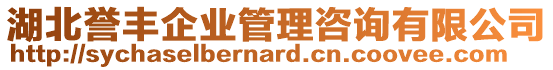 湖北譽(yù)豐企業(yè)管理咨詢有限公司