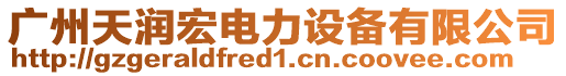 廣州天潤宏電力設備有限公司