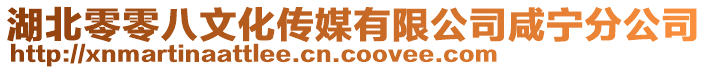 湖北零零八文化傳媒有限公司咸寧分公司