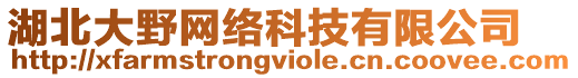 湖北大野網(wǎng)絡(luò)科技有限公司