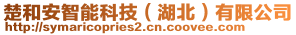 楚和安智能科技（湖北）有限公司