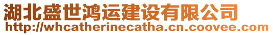 湖北盛世鴻運建設有限公司