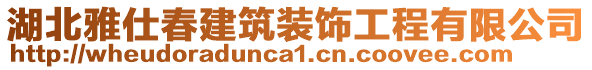 湖北雅仕春建筑裝飾工程有限公司