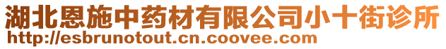 湖北恩施中藥材有限公司小十街診所