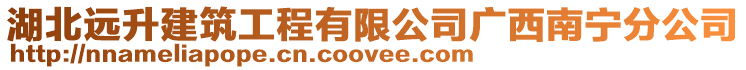 湖北遠升建筑工程有限公司廣西南寧分公司