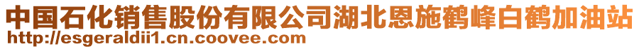 中国石化销售股份有限公司湖北恩施鹤峰白鹤加油站