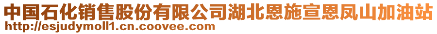 中国石化销售股份有限公司湖北恩施宣恩凤山加油站