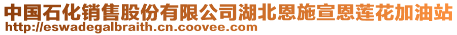 中国石化销售股份有限公司湖北恩施宣恩莲花加油站