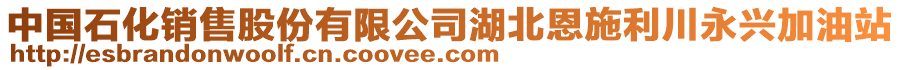 中國石化銷售股份有限公司湖北恩施利川永興加油站