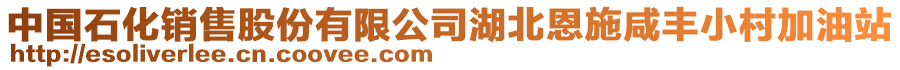 中國(guó)石化銷售股份有限公司湖北恩施咸豐小村加油站