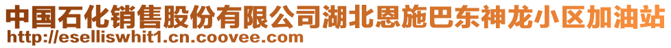 中國石化銷售股份有限公司湖北恩施巴東神龍小區(qū)加油站