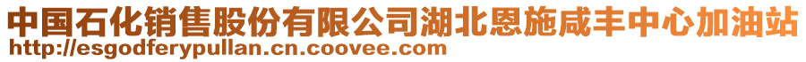 中國石化銷售股份有限公司湖北恩施咸豐中心加油站